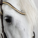 Kavalkade "Caliano" Bridle Brown/Brass 