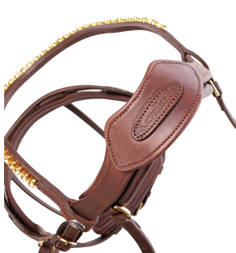 Kavalkade "Caliano" Bridle Brown/Brass 