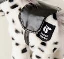 Piccoli Racehorse