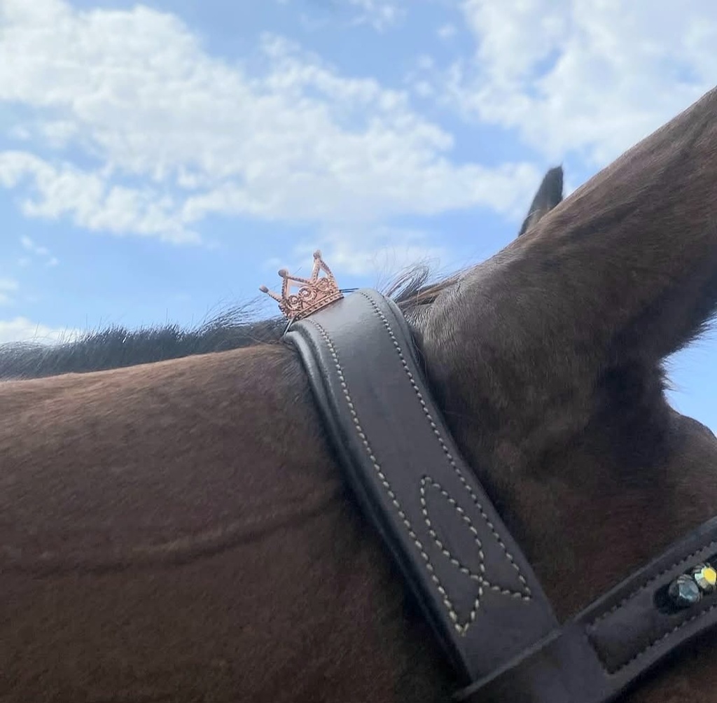 Jumping Jewels - Big Crown