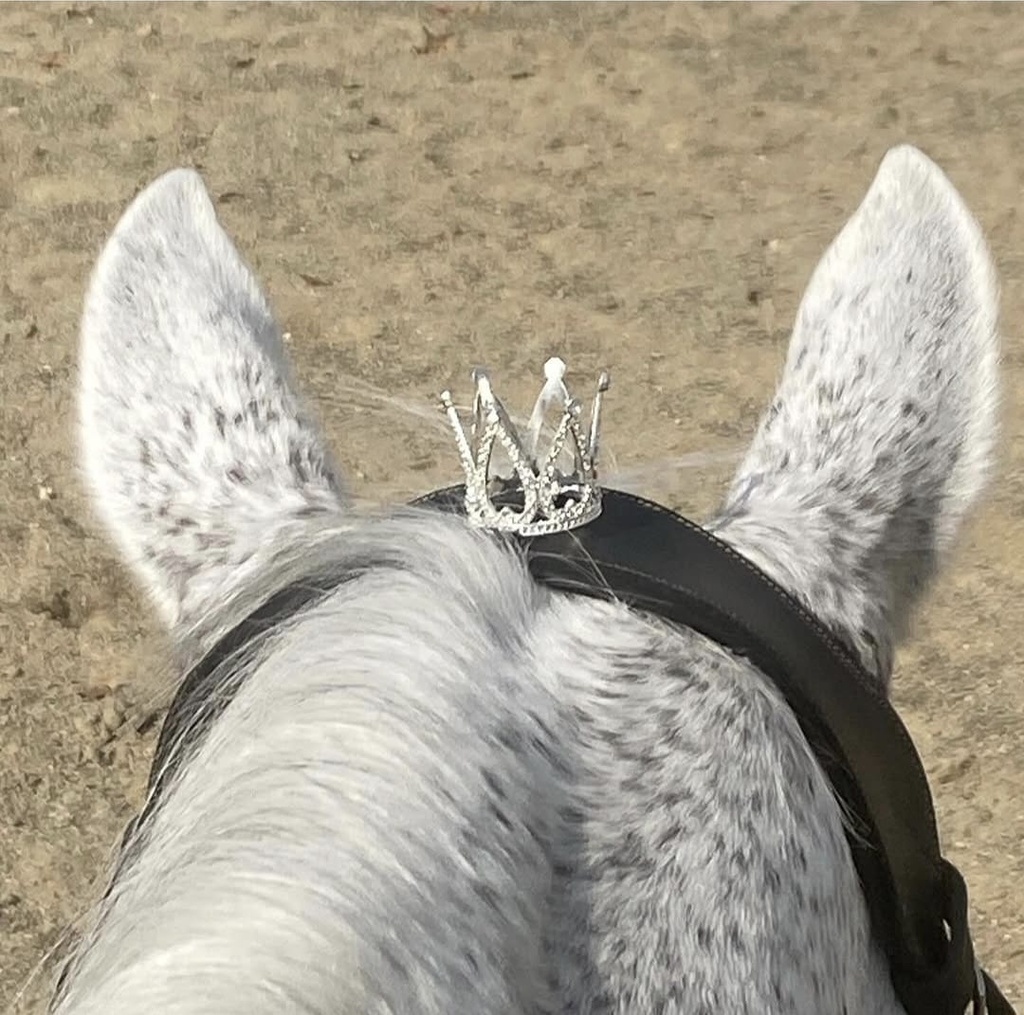 Jumping Jewels - Mini Crown