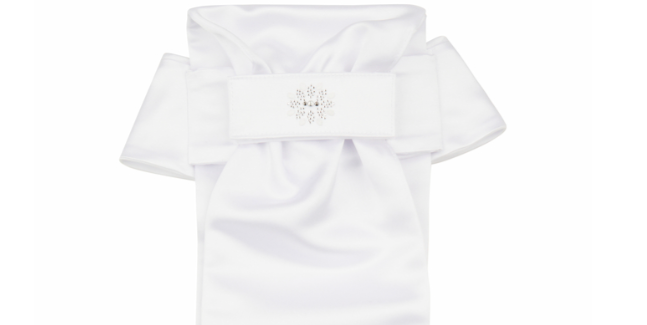 Pikeur Women's Dressage Stock Tie - 3 interchangeable designs