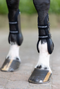 Eskadron Flexisoft Air - Tendon
