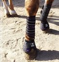 Majyk Equipe No Turn Overreach Bell Boot
