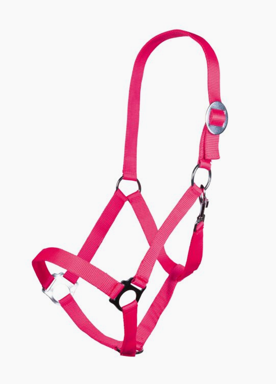 Head Collar Stars Economy - Neon pink