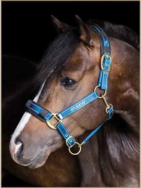 Stubben Stable halter with reflecting thread