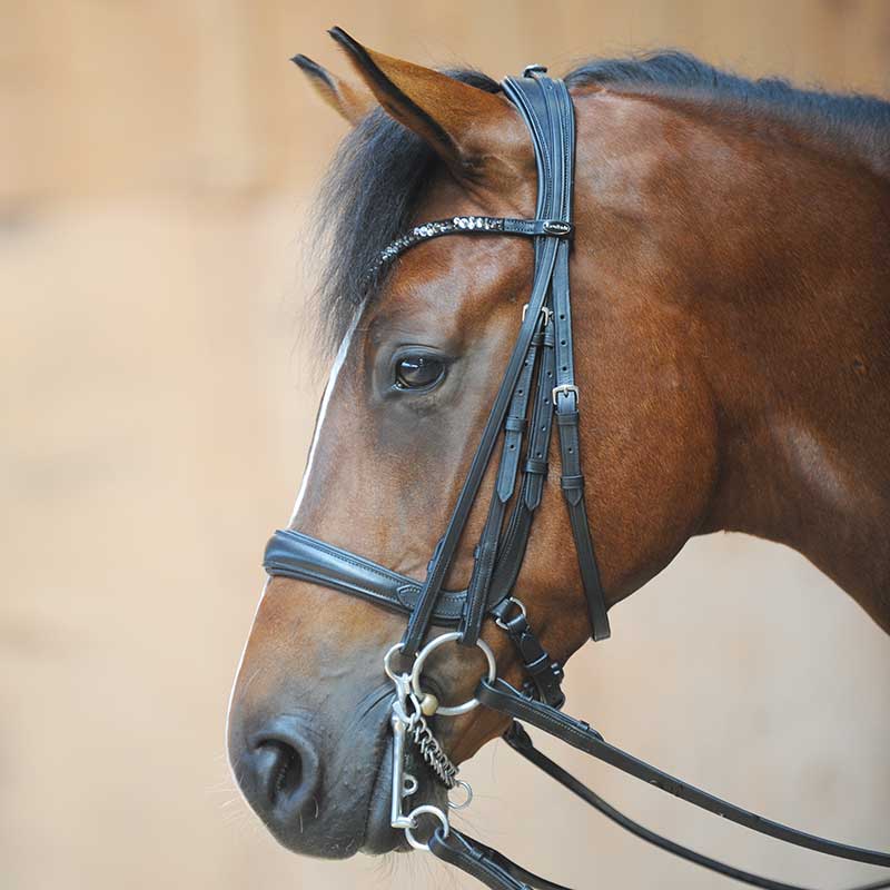Kavalkade Bridle Combi Weymouth/Snaffle Ivonne- Black