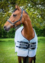 Equidaw Luxury Horse Cooling Rug