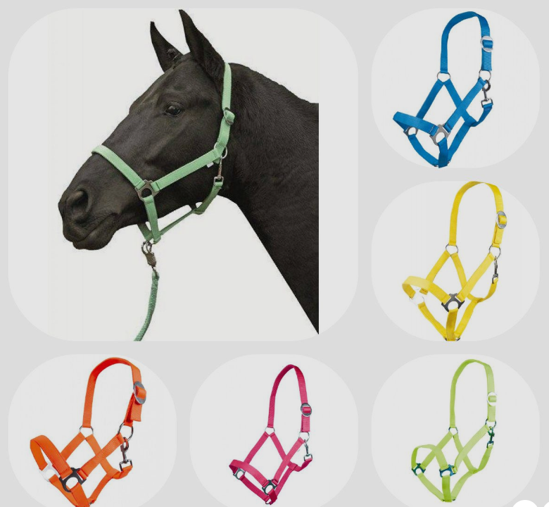 HKM Halter Stars Economy