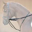 Kavalkade Market Harborough (German) Martingale - FULL