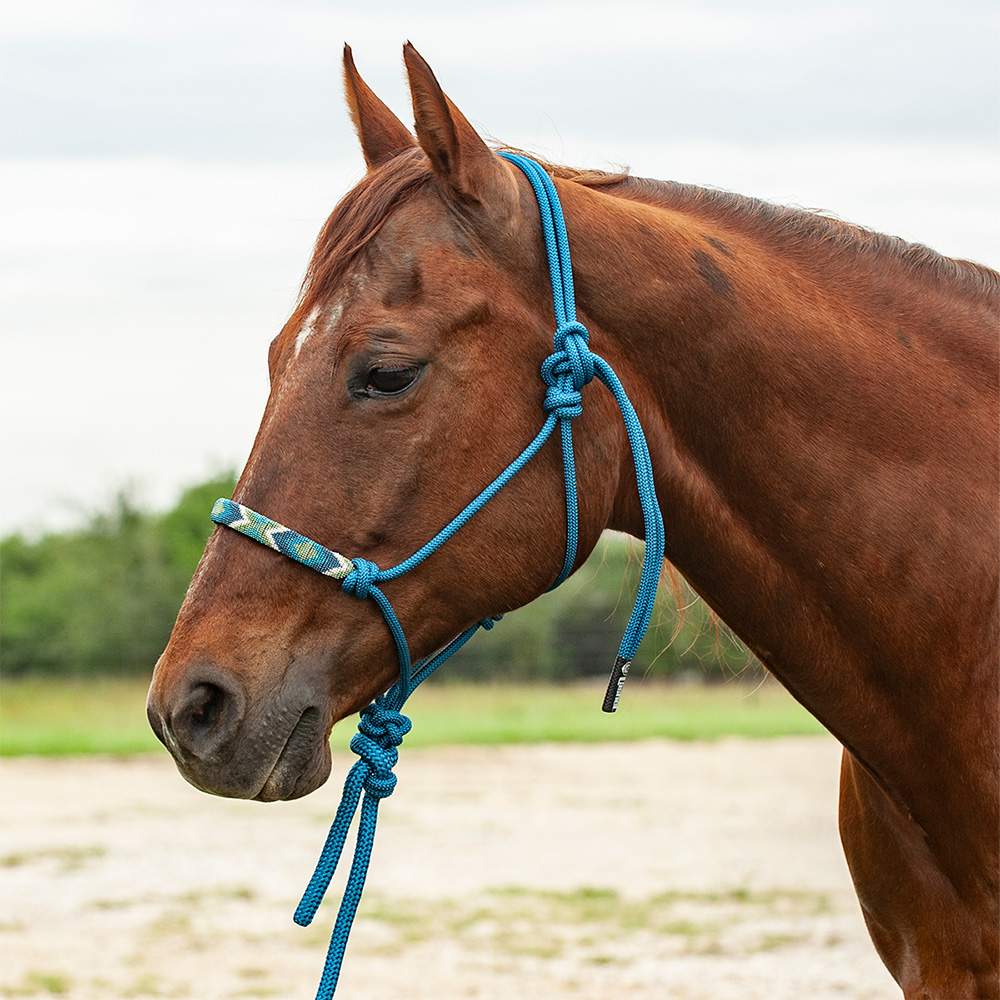Beaded Rope Halter w 8’ Lead Blue