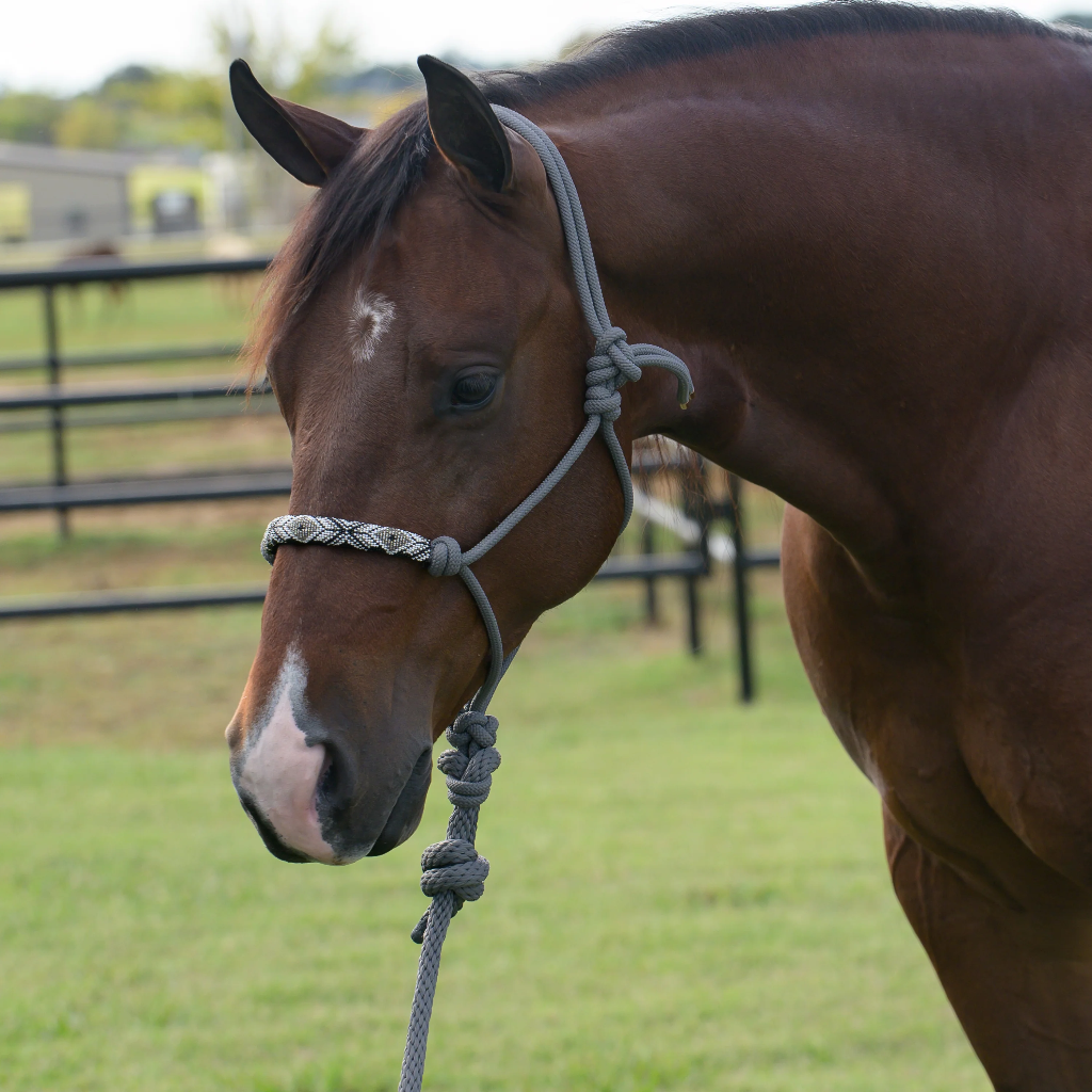Beaded Rope Halter w 8’ Lead Green