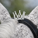 Jumping Jewels - Big Crown