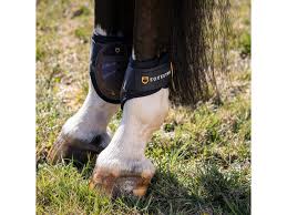 EQUESTRO FETLOCK PVC/NEOPRENE YOUNG HORSE MODELLO RUBY. Size Cob 