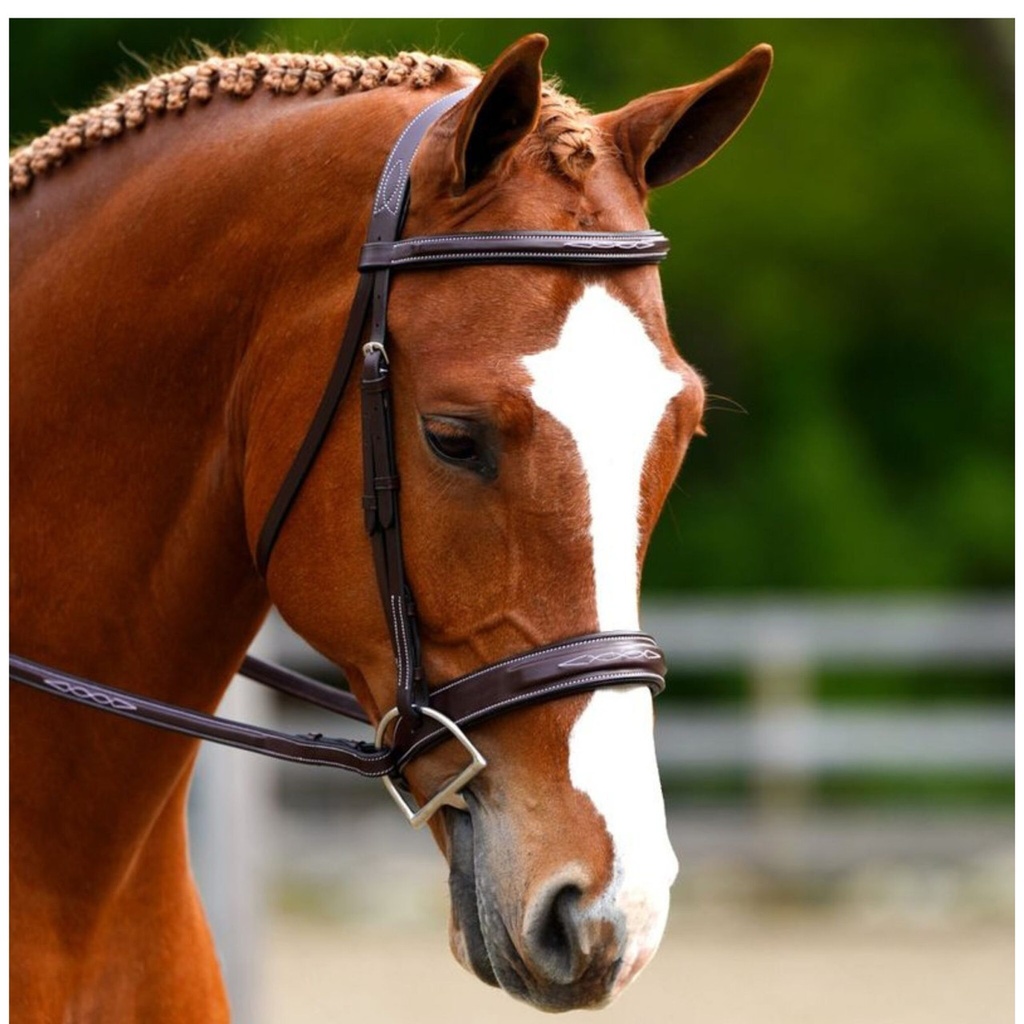 Full Black Oak Tupelo Hunter Bridle