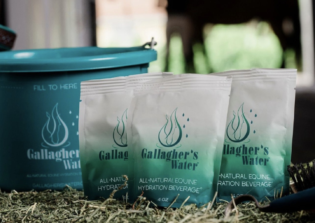 Gallagher's Water Electrolitos 12 Sobres