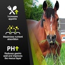 GastroMendXC. SIZE 30 days