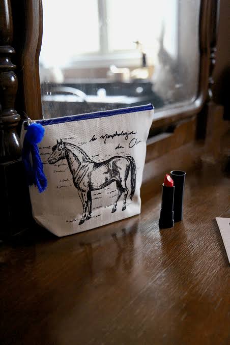 spiced eq Horse anatomy Small Zip Bag