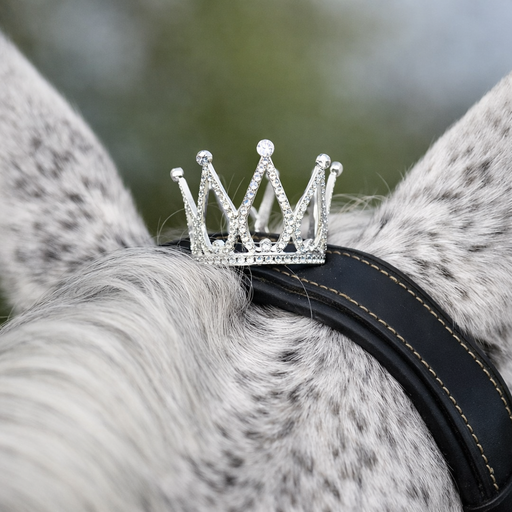Jumping Jewels Big Crown