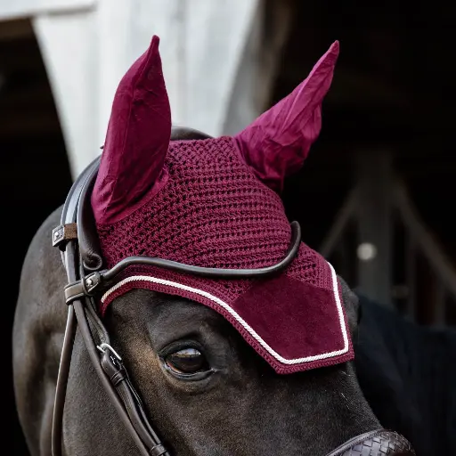 [0611X0611;436992439] Fly Veil M Burgundy with silver & green