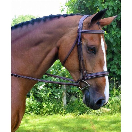 [642310800828] Full Black Oak Laurel Hunter Bridle