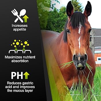 [865524000253] GastroMendXC