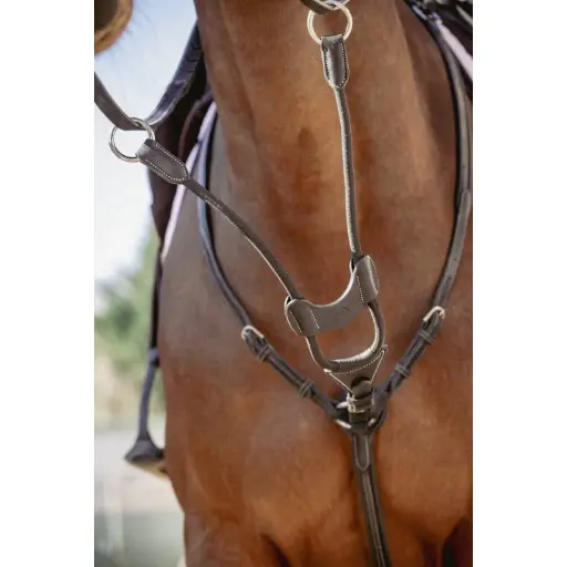 [4055114045887] Martingale Fork Round Stitched with buckle & elastic