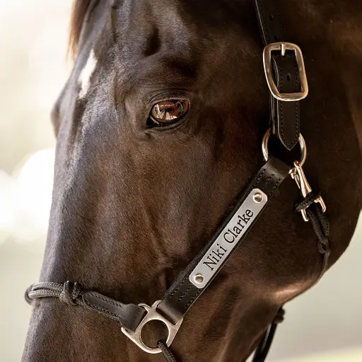 [5517210000232] Halter Name Plate - Chrome (Single Line)