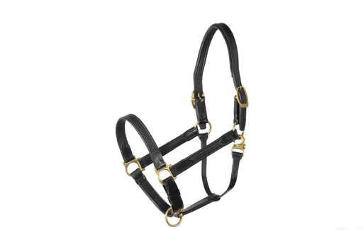 Stübben Cabezal de Piel (negro/brass)