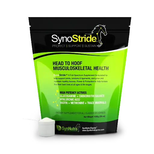 SynoStride - Head to Hoof Musculoskeletal Health
