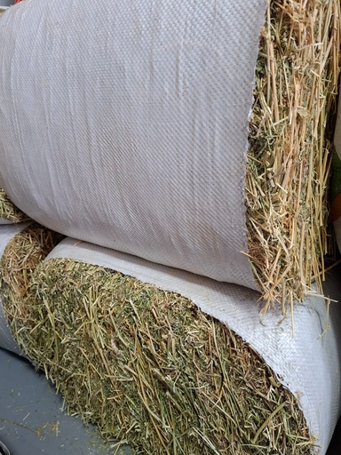 Alfalfa (paca) - LR